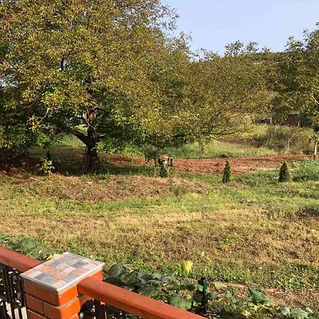 Kruna * 소코 반자