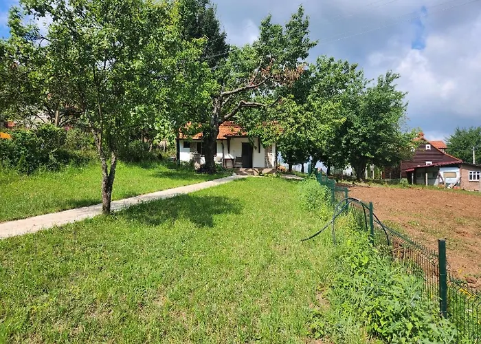 公寓 Kruna 索科矿泉村